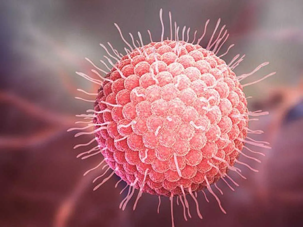 Hình minh họa virus gây bệnh thủy đậu và zona dưới kính hiển vi